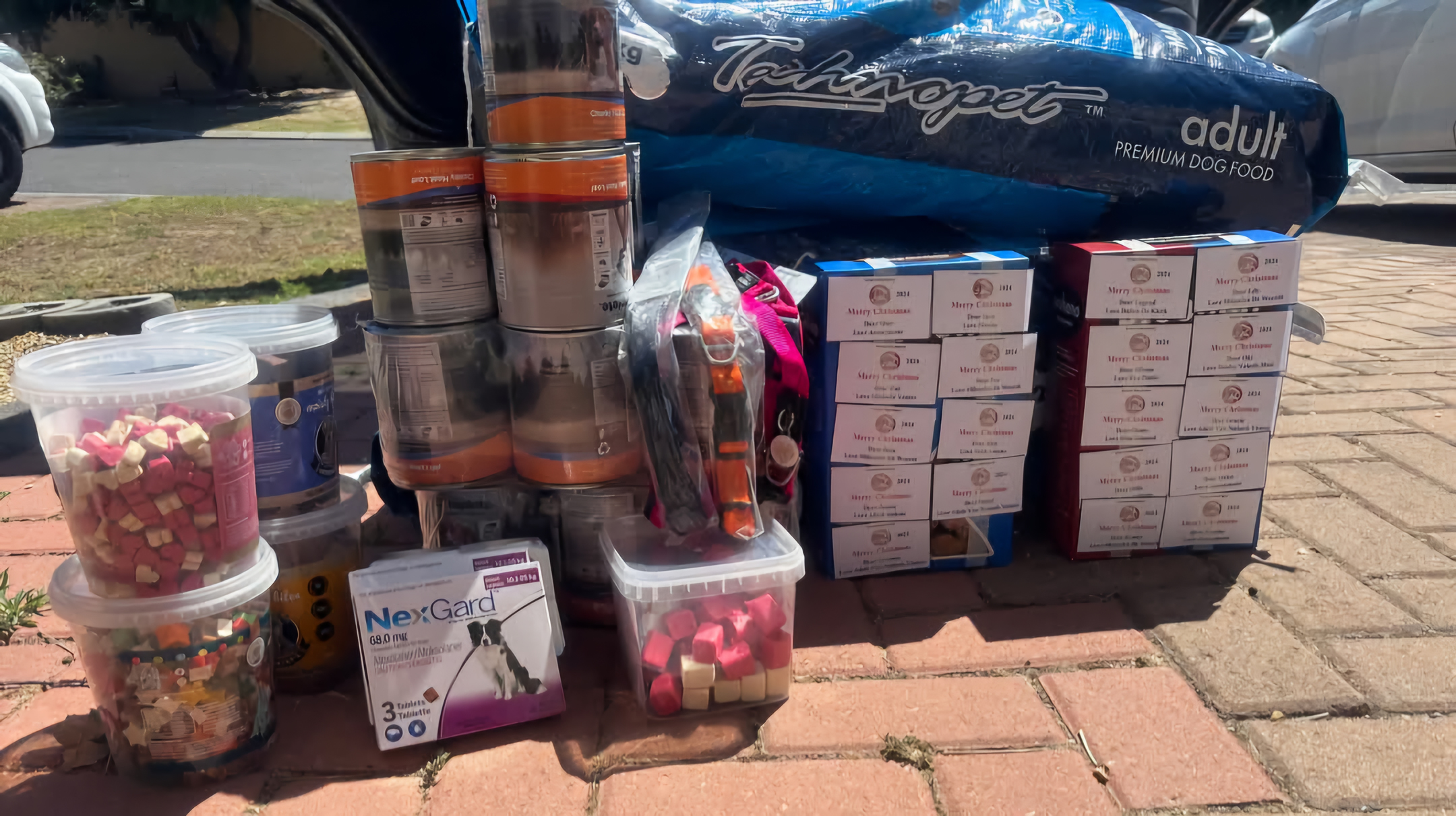 BRAG Beagle Rehoming & Assessments with Grace 